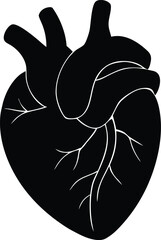 Human heart vector icon illustration