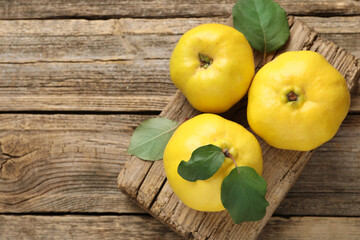 Fresh ripe quinces with leaves on wooden table, top view. Space for text