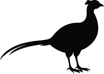 Wild bird pheasant silhouette symbol
