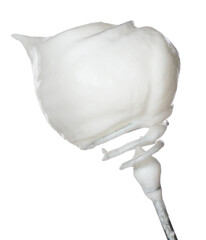 Whisk with whipped egg whites isolated on white