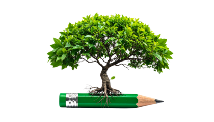 Pencil growing branches and leaves, symbol of creativity and intellectual growth, isolated on transparent background