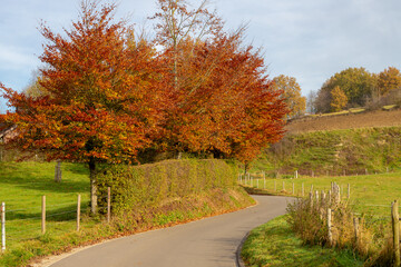 Autumn landscape, Terrain hilly countryside in Zuid-Limburg, Nature path on the hillside with...