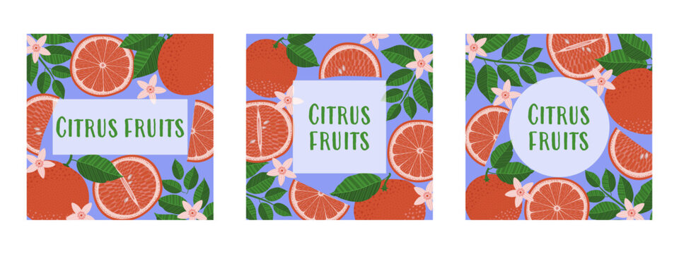 Three colorful, square-shaped illustrations of grapefruit slices, leaves, and fruits with a text placeholder. Perfect for designs such as cards, invitations, covers, flyers, banners, and brochures.