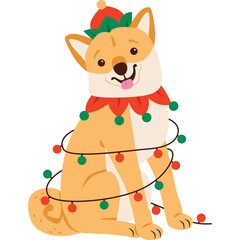 Shiba Inu Dog Wearing Santa Hat Wrapped in Colorful Christmas Lights with Transparent Background