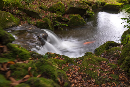 View of a small waterfall cascading into a tranquil pond, surrounded by moss-covered rocks and scattered leaves, creating a serene scene, Narita, Chiba, Japan.