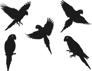 Parrot silhouette collection, flying and perched birds, tropical wildlife vector, exotic bird illustration, black parrot design, jungle animal art