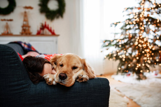 Young Girl and her dog lying on a sofa sleeping in a living room with a Christmas tree