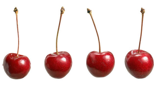 Four ripe red cherries each with a distinct green stem each of three red cherries displays its own vibrant green stem