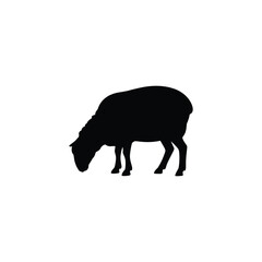 Black silhouette of a sheep grazing on a white background