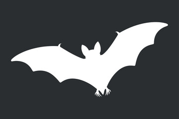 Fototapeta premium White Bat Silhouette Vector on Dark Background