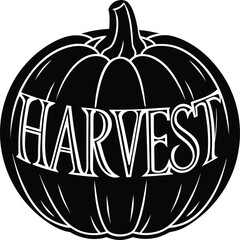 Harvest pumpkin vector graphic illustration isolated on white background with decorative lettering for autumn holiday season celebrations like thanksgiving and halloween