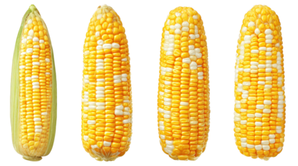 Golden corn kernels contrast sharply on a dark background close up image of golden corn reveals detailed texture