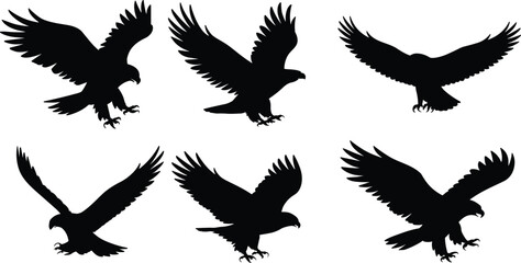 Eagle silhouettes in flight, black bird shapes isolated on white background, flying hawk illustration, predatory raptor design for wildlife art