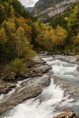Ara River through the Bujariego Valley, in Ordesa. Spain