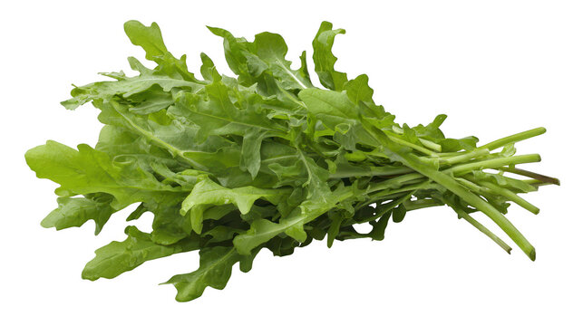 Fresh green leaves arrayed on black surface vibrant foliage cluster contrasts with dark setting