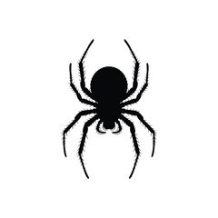 Black silhouette of a spooky spider on a white background