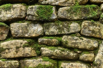 Rustic stone wall with patches of vibrant green moss