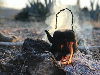 A teapot on the Firewood in nature	