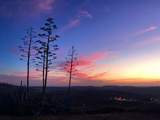 Great view of the sunset