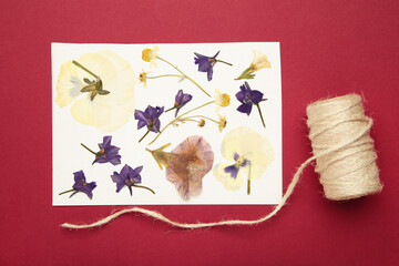 Pressed and dried flowers with twine on red background. For use in scrapbooking, floristry or herbarium.