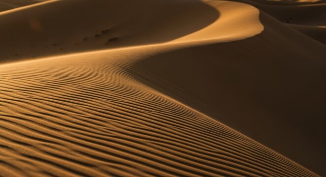 Golden sand dunes with flowing ripples under warm sunlight