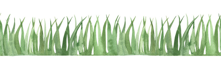 Watercolor green grass border. Hand-drawn illustration of green tall grass, greenery, and a green hedge. Design and decoration. Scrapbooking, ribbon, tape, or stripe. Horizontal banner.