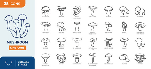 Minimalist Edible mushroom outine icons set with editable stroke. featuring icons of various mushroom types. thin linear illustration. Vector illustration  © Cetacons