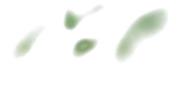 Green-tinted shadowy blur abstract photo with noise texture, mysterious and cinematic atmosphere. clean PNG