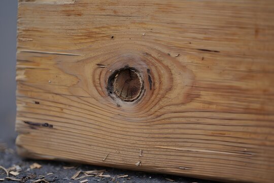 Wooden plank with a hole shows the texture and grain of the natural material