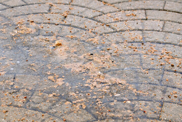 Icy sidewalk treated with sand to prevent slipping and increase traction during icy and snowy winter conditions. Road treatment, scattered sand on paved surface used for melting ice. Selective focus