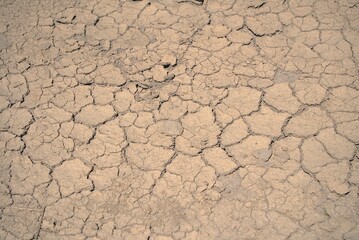Cracked earth texture, dry land, arid environment, desert landscape, drought conditions.