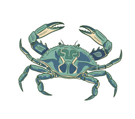 Crab design. Crab fish artwork for t shirt print, poster, sticker and other uses. Fish vintage artwork. Seafood club. Crab illustration.