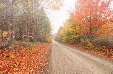 Along an autumn country road, Wakefield, Quebec, Canada 