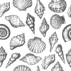 Seamless pattern of hand-drawn seashells in vintage black and white sketch style. Perfect for marine-themed designs, coastal decor, packaging, textiles, or educational visuals about ocean life.