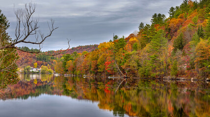 Fall colours along the Gatineau river in Quebec, Canada