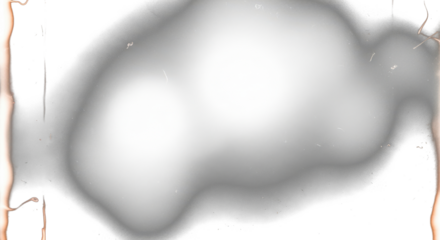 Overexposed grayscale abstract texture with film grain and light leaks, nostalgic soft blur photo aesthetic. clean PNG