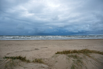 Green grass in the sand on the Baltic Sea coast.