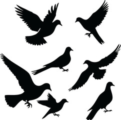 Dove logo Vectors.eps