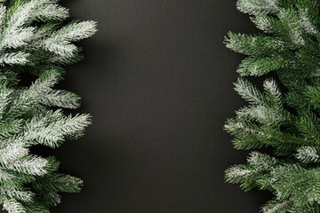 Winter holiday background with snowy pine branches on dark backdrop. Minimal festive frame for...