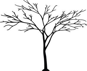 Smiling cartoon squirrel holding an acorn among autumn leaves