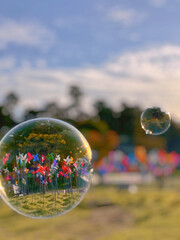soap bubbles in the park