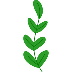 Simple green branch with multiple leaves illustration on white background with transparent elements and cartoon style