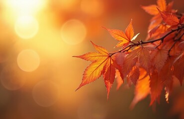 Autumn maple leaves glow with warm sunlight creating soft orange bokeh. Branch with red foliage against blurred backdrop. Crisp fall season beauty.