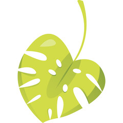 Simple Green Monstera Leaf With Stem on Transparent Background Simple Botanical Illustration