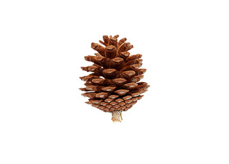 A classic, conical pine cone with clearly defined, stacked scales, standing upright. Perfectly isolated on a white background, ideal as a natural element for Winter, Autumn, or rustic Christmas design