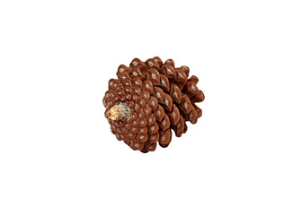 A small, rounded pine cone with tightly packed scales, featuring a small, lighter colored tip. Perfectly isolated on a white background, ideal for Autumn, Winter, or natural product designs