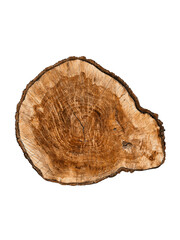 A natural wooden cross-section or log slice with visible tree rings and bark edges. Features a rich brown, slightly uneven surface, isolated on a white background for rustic designs