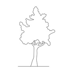 Continuous line drawing of tree on white background.