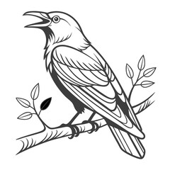 vector illustration of a bird
