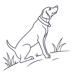 vector illustration of a black dog